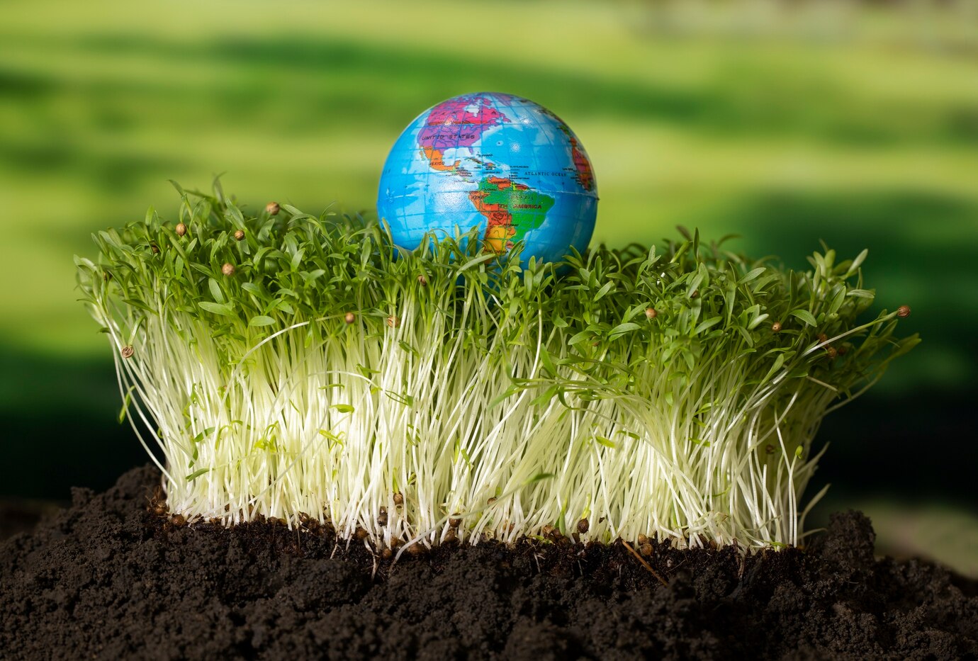 Center for Environmental Science and Sustainability